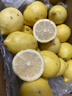 京鲜生 安岳黄柠檬16粒 单果95g-120g 生鲜水果 实拍图