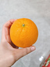 集南鲜 赣南脐橙 江西橙子新鲜现摘水果脐橙时令生鲜水果甜橙 水果礼盒 20斤彩箱特级橙 净重18斤 单果200g+ 实拍图