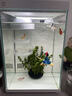 疯狂水草鱼缸隔离盒悬浮双层孵化器鱼苗隔离孔雀鱼繁殖盒迷你鹦鹉鱼繁殖罐 实拍图