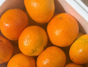 京地达广东砂糖橘新鲜水果净重3斤中小果35-45mm源头直发包邮 实拍图