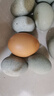 无铅松花皮蛋40g-50g溏心皮蛋农家散养鸭蛋溏心即食早餐买菜生鲜 10枚松花蛋【单枚40-50g】 实拍图