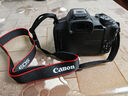 佳能（Canon）EOS R50 18-45mm套机 黑色 实拍图