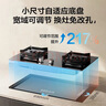 老板（Robam）【双边定时小灶王】小尺寸JZY-23BD-E1火力5.0kW燃气灶液化气猛火灶换新推荐搭配烟机L1mini 实拍图