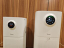 美的（Midea）【母婴认证】甲醛数显空气净化器鼻炎家用除醛除烟味异味过敏原空气净化机森林家L1pro 实拍图