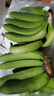 新鲜现摘高山香蕉青皮香蕉水果香蕉宗坤特产放熟吃 香蕉净重5斤 实拍图