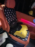 欧颂（Osann）儿童安全座椅增高垫3-12岁以上德国便携式汽车用简易大童坐垫 MAX【欧颂黄】 实拍图