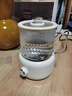 养生壶烧水壶热水壶恒温壶煮茶壶泡茶壶一体玻璃全自动小家用多功能办公室大容量 0.6L 机械款养生壶【单壶】 实拍图