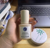 Mistine蜜丝婷银盾粉底液遮瑕持久水润保湿提亮肤色干皮新年礼物送女友 实拍图