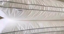水星家纺枕头枕芯酒店枕头护颈枕头芯家用单个纯棉抗菌可水洗高枕48x74cm 实拍图