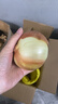 京鲜生山东黄洋葱带皮3斤装单果200g+新鲜蔬菜源头直发 实拍图