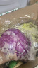 千牛优福新鲜生菜组合4斤球生菜红叶等6种沙拉蔬菜轻食蔬菜包 6种蔬菜共4斤【无酱】 实拍图