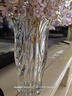 墨斗鱼花瓶轻奢玻璃高22cm大口径透明摆件郁金香富贵竹培容器元旦送礼物 实拍图