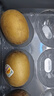 佳沛（zespri）新西兰 阳光金奇异果12粒礼盒特大果单果约122-146g 猕猴桃 水果 实拍图
