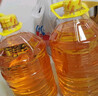 鲁花 食用油  物理压榨  非转基因 玉米油6.18L   实拍图
