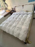博洋家纺绵茹A类抑菌100%澳洲进口羊毛被被芯 春秋被子 200*230cm 实拍图