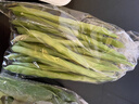 四季豆300g(架豆） 实拍图