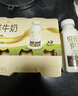 悦鲜活鲜牛奶 A2β-酪蛋白 260ml*5瓶/组 巴氏杀菌乳 低温鲜奶 实拍图