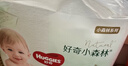 好奇（Huggies）小森林拉拉裤XXL30片(15kg以上)尿不湿心钻【透氧顶配更低敏】 实拍图