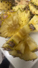 正宗海南金钻凤梨新鲜水果当季树上熟芒果凤梨【催熟食用】 1粒装单果500g-650g【7成熟，催熟再吃】 实拍图