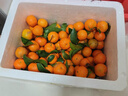 京鲜生 正宗广西砂糖桔4.5斤装 单果35mm+ 花皮 水果年货 源头直发包邮 实拍图