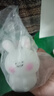 卡通小夜灯房间可爱少女心氛围灯生日礼物送女孩子儿童发光小玩具 腮红兔/小号 配3颗电池 实拍图