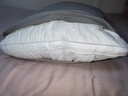 洁丽雅（Grace）纤维枕星级酒店枕头枕芯46*72cm一对装（2只装） 实拍图
