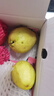京觅福建红心白心脆果 双拼芭乐 番石榴  单果150g起 3斤装源头直发 实拍图