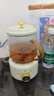 乐炖 养生壶迷你办公室一人用煮茶壶小型煮茶器全玻璃电热杯煮水烧水壶55度电炖养生杯礼物便携花茶壶 白0.6L+礼盒（不带杯） 实拍图