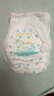 爽然天鹅裤拉拉裤超薄透气柔软婴儿纸尿裤尿不湿【品牌直供】 拉拉裤 XXL30片*2包 实拍图