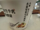 光明 如实 水果坚果可可燕麦 135g*3 发酵乳酸奶酸牛奶 0蔗糖健康轻食 实拍图