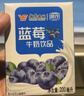 风行牛奶 蓝莓风味牛奶饮品 200ml*12盒 牛奶礼盒装 送礼佳品 实拍图