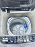 志高（CHIGO）全自动洗衣机 家用小型波轮 洗脱一体机大容量 公寓宿舍出租房 加厚款 12kg 【蓝光洗护+风干洁桶+强电机】 实拍图