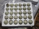 鄱湖鸭舍 无铅松花蛋皮蛋溏心松花皮蛋无铅工艺变蛋厂家麻鸭蛋批发 60-70克/枚【30枚-超值】 实拍图