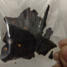 科尔沁 超干风干牛肉干麻辣味100g 休闲食品 肉类零食 牛肉干肉脯 实拍图