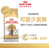 皇家猫粮 英短成猫粮 BS34 通用粮 12月以上 10KG 实拍图