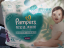 帮宝适（Pampers）清新帮尿不湿 XL84片【清新帮弹力裤】 实拍图