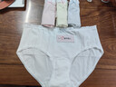 都市丽人4条【可预防HPV】女士内裤女纯棉抑菌加宽长裆透气女生三角裤2XL 实拍图