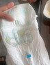帮宝适超薄透气清新帮拉拉裤新生儿婴儿尿不湿尿片透氧Pro XL84 实拍图