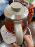 小熊（Bear）煮茶壶 煮茶器 养生壶 喷淋式煮茶水壶蒸汽玻璃壶蒸茶器冲泡茶煮花茶黑茶烧水壶保温一体恒温壶 【微电脑精准控温】 0.8L 实拍图