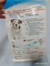 皇家狗粮 幼犬狗粮 幼犬奶糕宠物小型犬MIJ31全价犬粮2-10月800g 实拍图