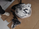 亿力吸尘器家用手持轻量超强大吸力 桌面床上地毯沙发干湿两用吹吸一体 小型除尘吸猫毛神器小白桶12L  实拍图