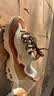 斯凯奇（Skechers）奶茶熊女鞋厚底老爹鞋百搭熊猫鞋运动鞋149906 实拍图
