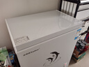 荣事达（Royalstar）小冰柜家用小型冷冻保鲜迷你冷藏商用卧式冷柜单用储母乳柜节能省电 【一级节能 全国联保】单温 228L 实拍图