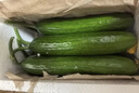 京喜加新鲜无刺水果小黄瓜小青瓜脆甜荷兰脆嫩生吃黄瓜蔬菜 泡沫箱装 4斤 实惠装 实拍图