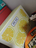 贡苑 纯柠檬片干2大包共280g 无添加糖大片Vc实惠装烘干柠檬干花草茶 实拍图
