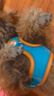 茨格曼狗绳牵引绳狗链子胸背带遛狗绳子中小型犬宠物用品 实拍图
