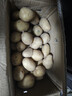 山东土豆新鲜现挖2025新土豆农家马铃薯黄皮黄心大包装健康即食 黄心土豆小果 9斤(净重) 实拍图