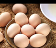 农家散养谷物土鸡蛋50±5克/枚 30枚 实拍图