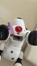 索迪机器狗智能ai机器人婴幼儿童宝宝玩具男女孩生日1-3周2岁新年礼物 实拍图