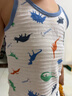 贝瑞加（Babyprints）男孩背心2件装中小童无袖坎肩幼儿园男宝宝纯棉睡衣柔软 恐龙100 实拍图